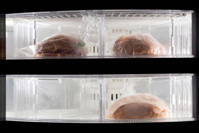 Frozen food in the fridge
